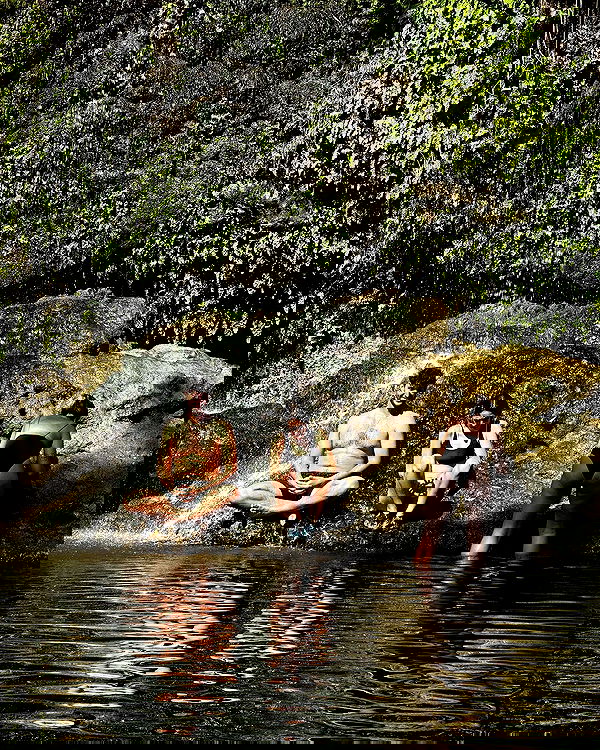 iambohema.v2 iambohema.v2 archive image