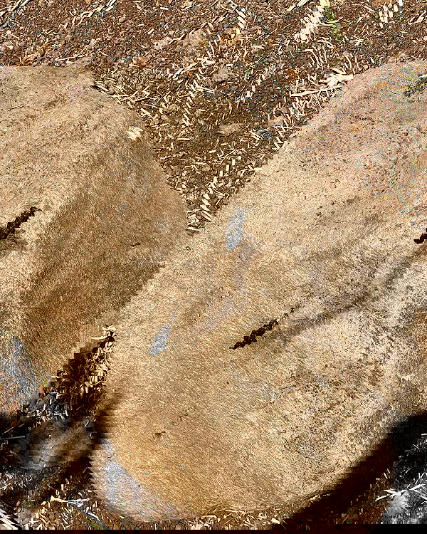 iambohema.v2 iambohema.v2 archive image