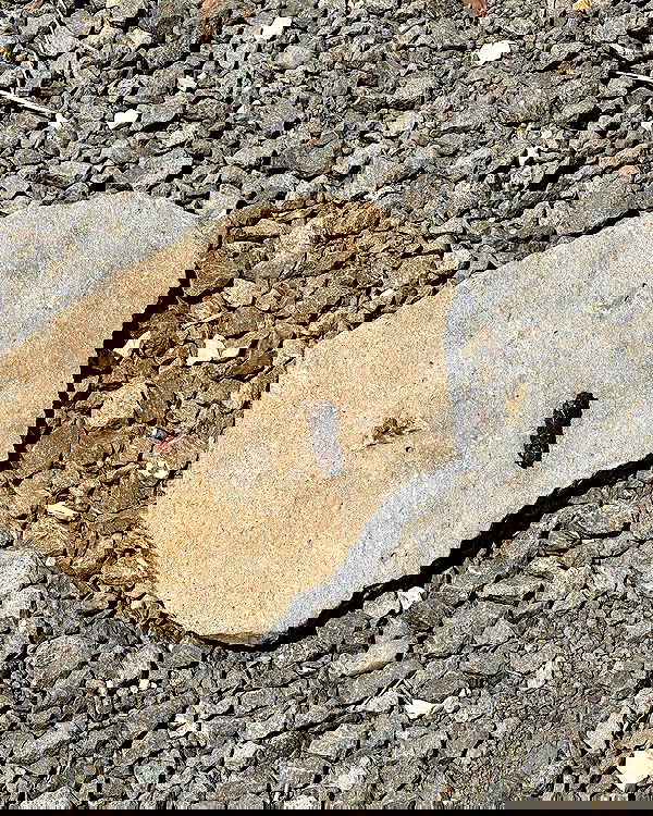 iambohema.v2 iambohema.v2 archive image