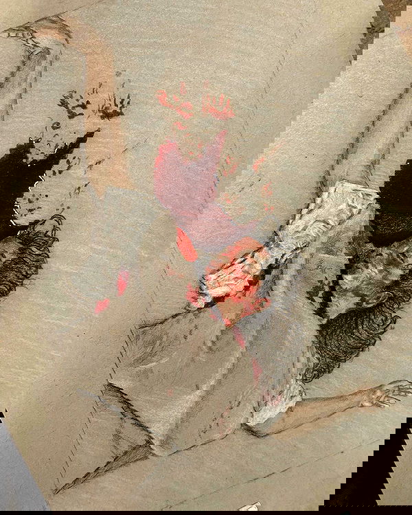 iambohema.v2 iambohema.v2 archive image