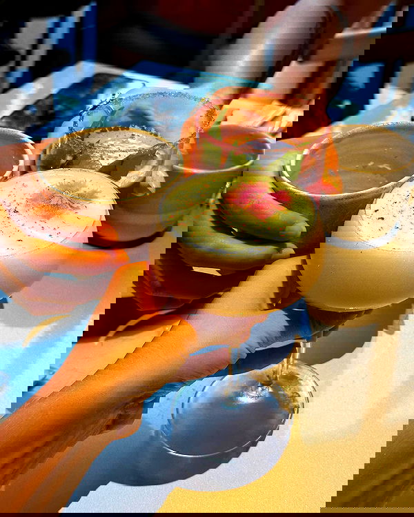 iambohema.v2 iambohema.v2 archive image