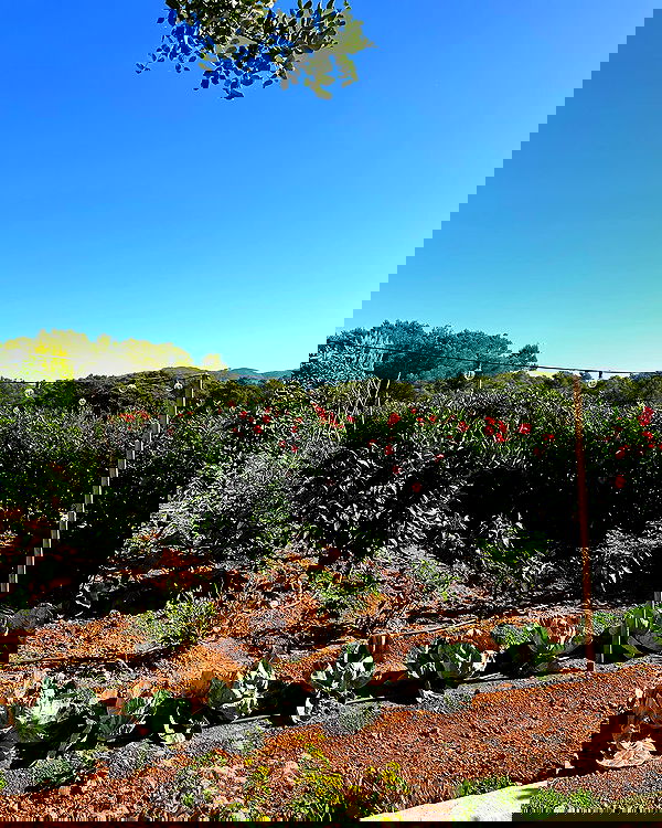 iambohema.v2 iambohema.v2 archive image