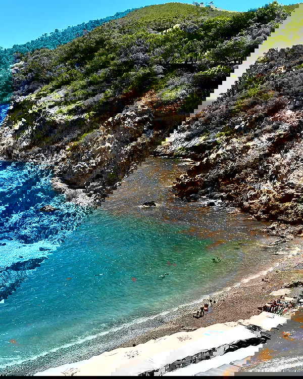 iambohema.v2 iambohema.v2 archive image