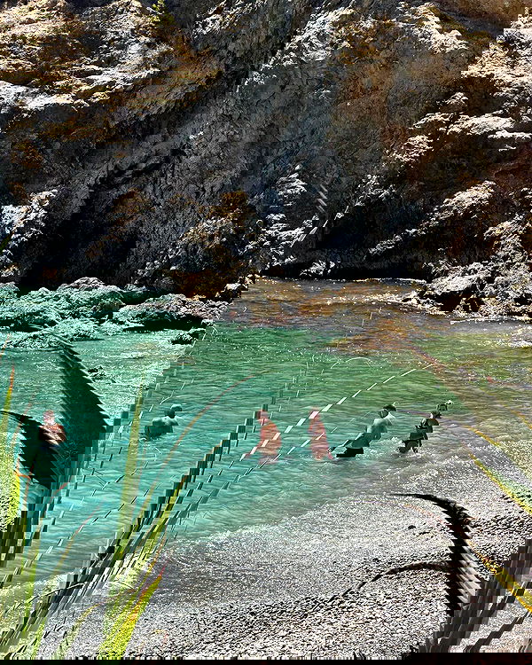 iambohema.v2 iambohema.v2 archive image