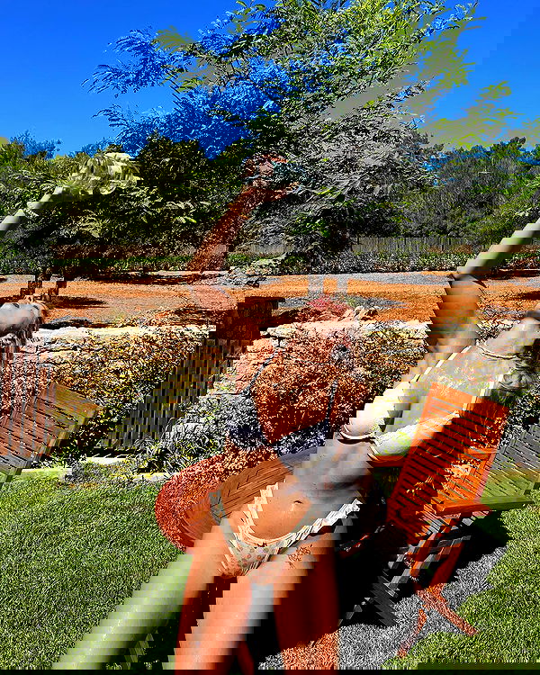 iambohema.v2 iambohema.v2 archive image