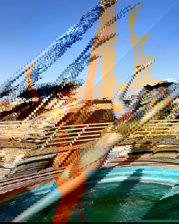 iambohema.v2 iambohema.v2 archive image