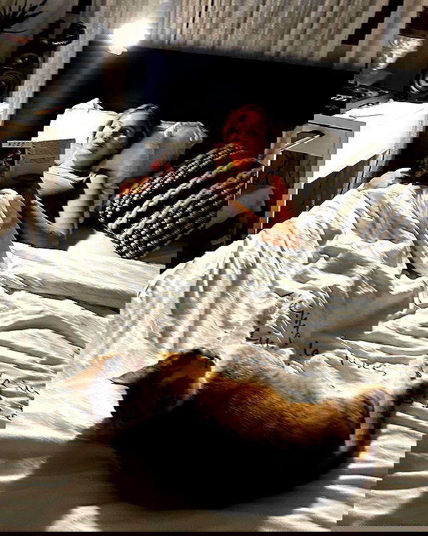 iambohema.v2 iambohema.v2 archive image