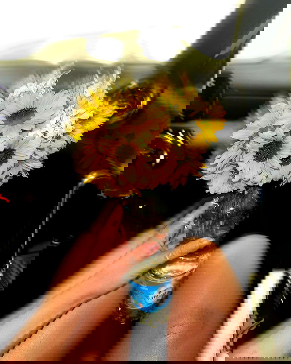 iambohema.v2 iambohema.v2 archive image