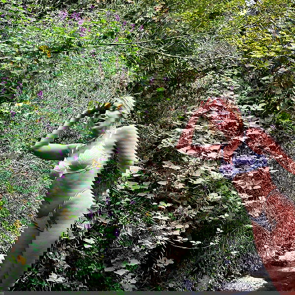 iambohema.v2 iambohema.v2 archive image