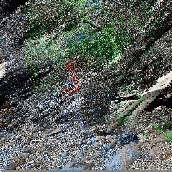 iambohema.v2 iambohema.v2 archive image