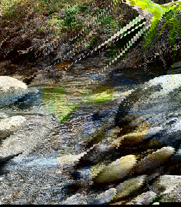 iambohema.v2 iambohema.v2 archive image