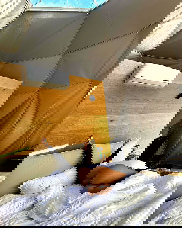 iambohema.v2 iambohema.v2 archive image