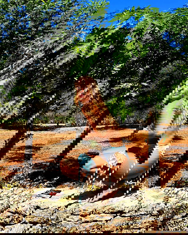 iambohema.v2 iambohema.v2 archive image