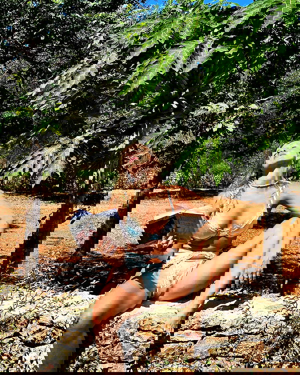 iambohema.v2 iambohema.v2 archive image