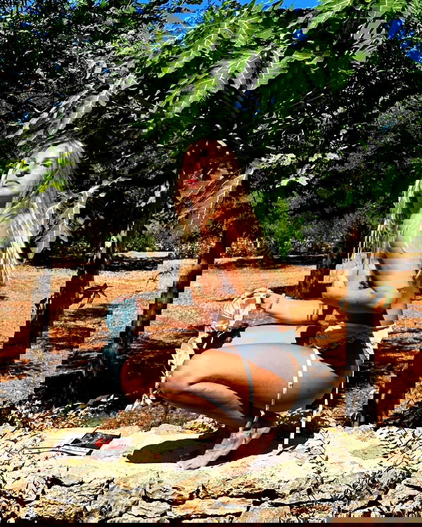 iambohema.v2 iambohema.v2 archive image