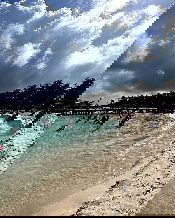 iambohema.v2 iambohema.v2 archive image