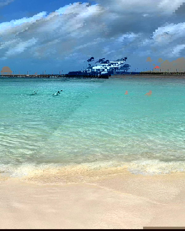 iambohema.v2 iambohema.v2 archive image