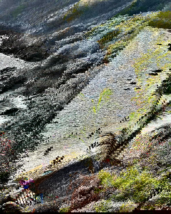 iambohema.v2 iambohema.v2 archive image