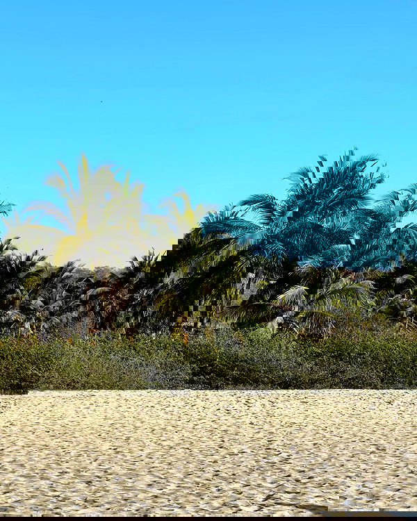 iambohema.v2 iambohema.v2 archive image