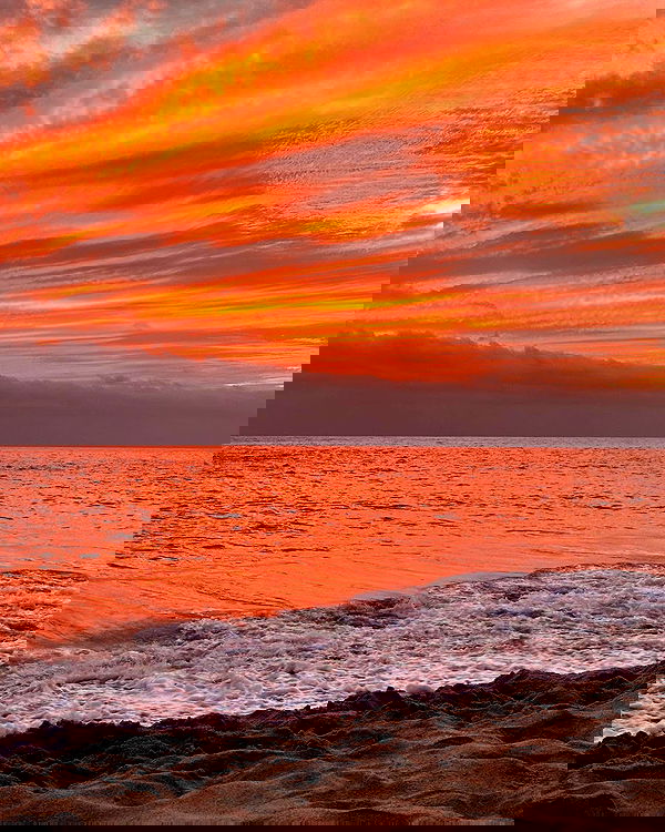 iambohema.v2 iambohema.v2 archive image