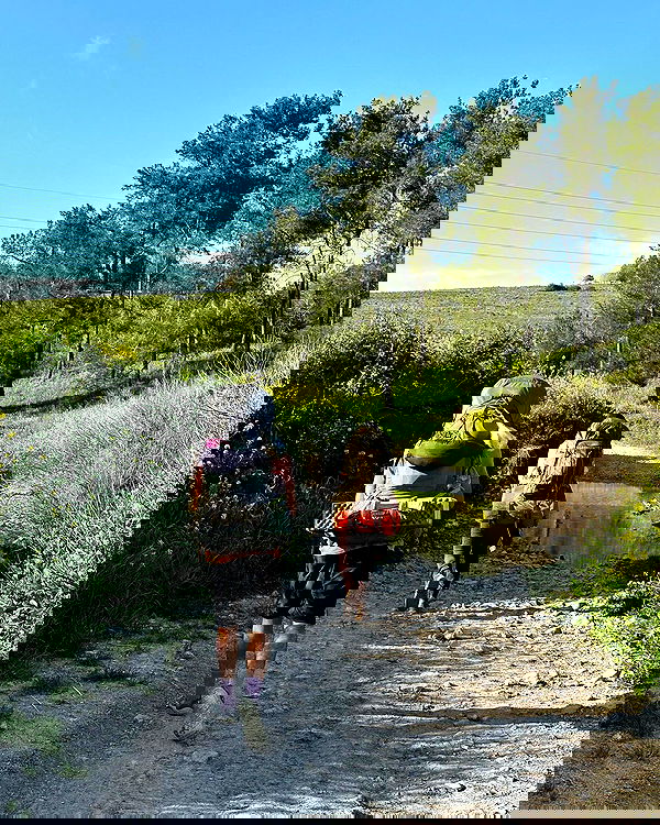 iambohema.v2 iambohema.v2 archive image