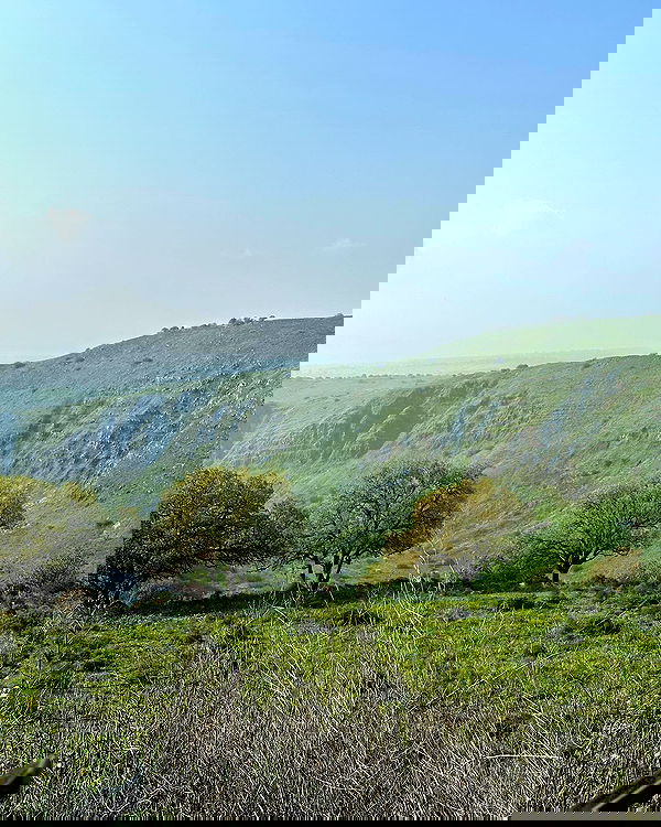 iambohema.v2 iambohema.v2 archive image