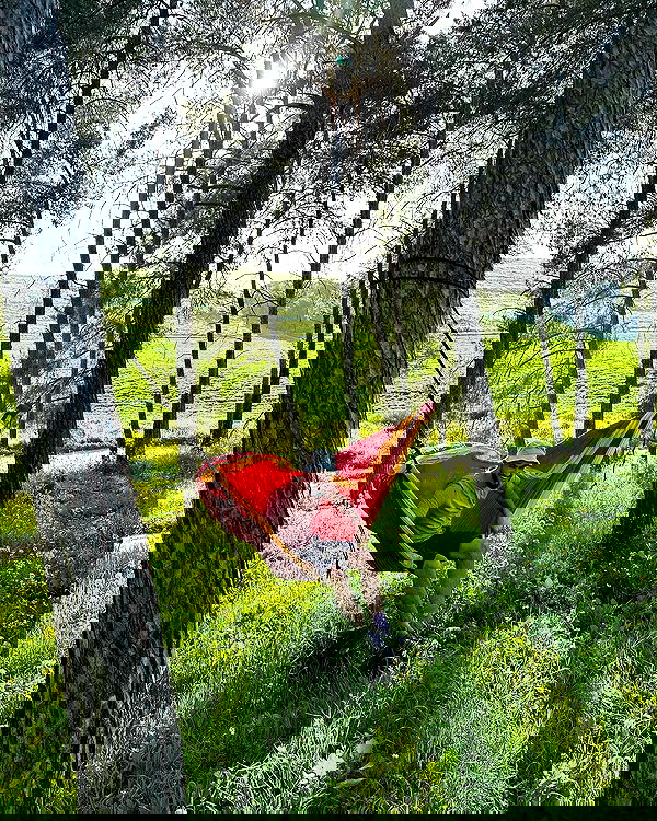 iambohema.v2 iambohema.v2 archive image