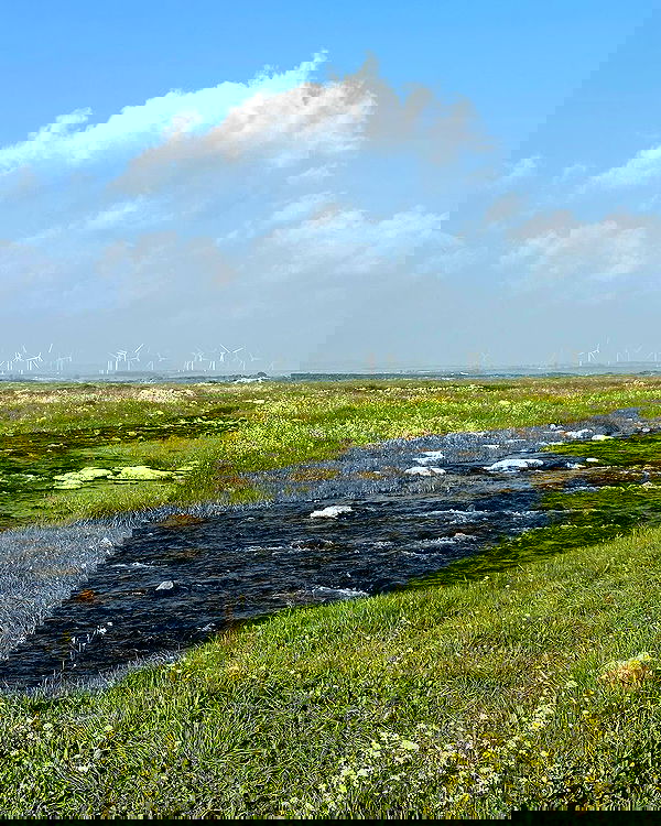 iambohema.v2 iambohema.v2 archive image