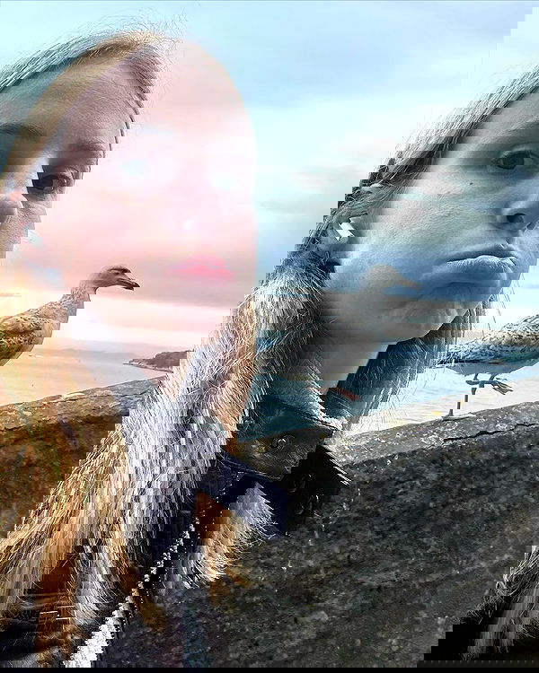 iambohema.v2 iambohema.v2 archive image