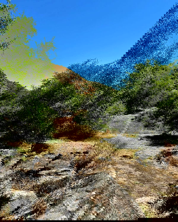 iambohema.v2 iambohema.v2 archive image