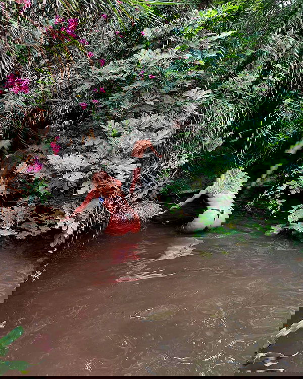 iambohema.v2 iambohema.v2 archive image