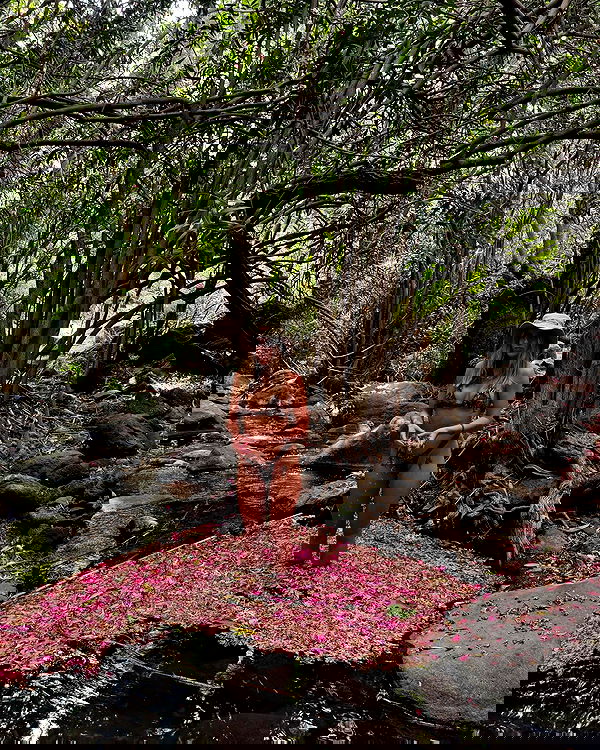 iambohema.v2 iambohema.v2 archive image