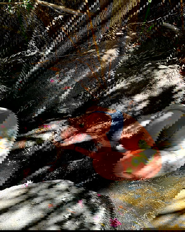 iambohema.v2 iambohema.v2 archive image