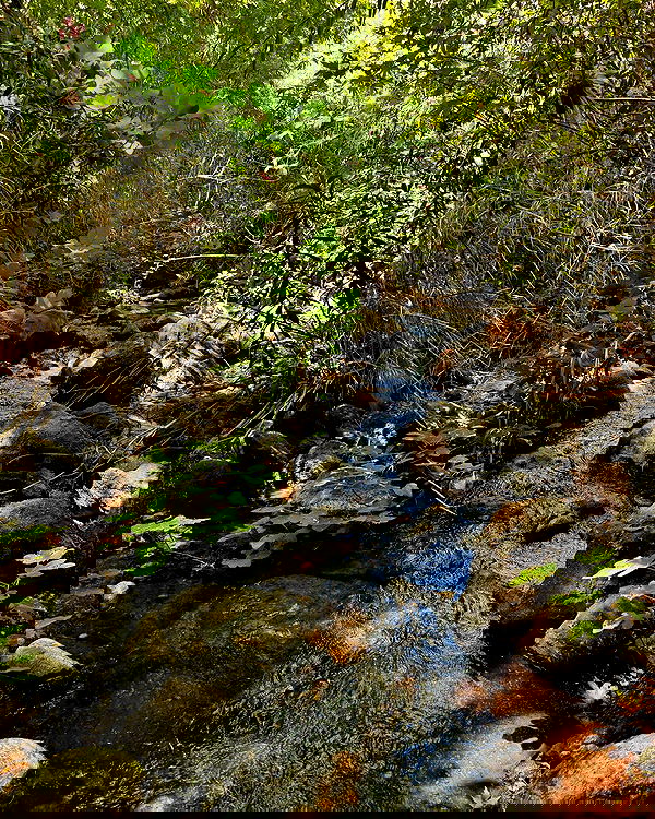 iambohema.v2 iambohema.v2 archive image