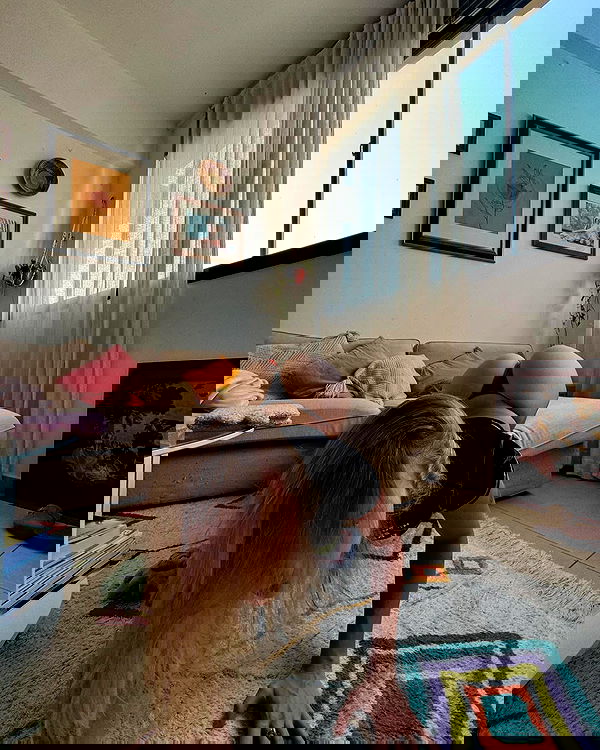 iambohema.v2 iambohema.v2 archive image