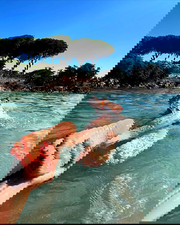 iambohema.v2 iambohema.v2 archive image