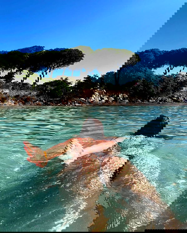 iambohema.v2 iambohema.v2 archive image