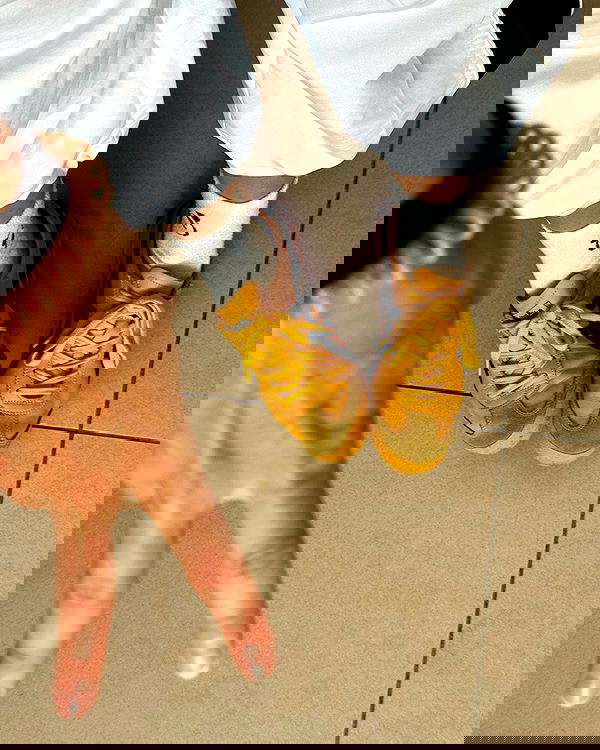 iambohema.v2 iambohema.v2 archive image