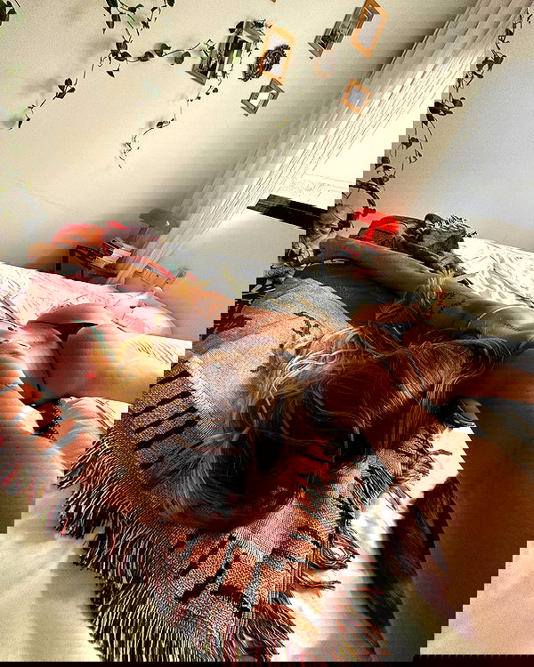 iambohema.v2 iambohema.v2 archive image