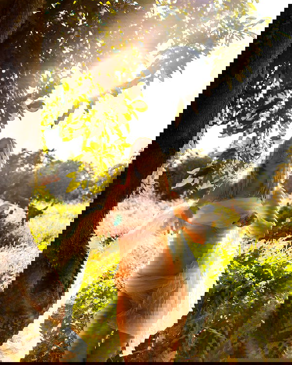 iambohema.v2 iambohema.v2 archive image