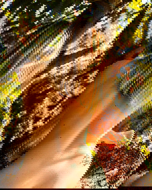 iambohema.v2 iambohema.v2 archive image