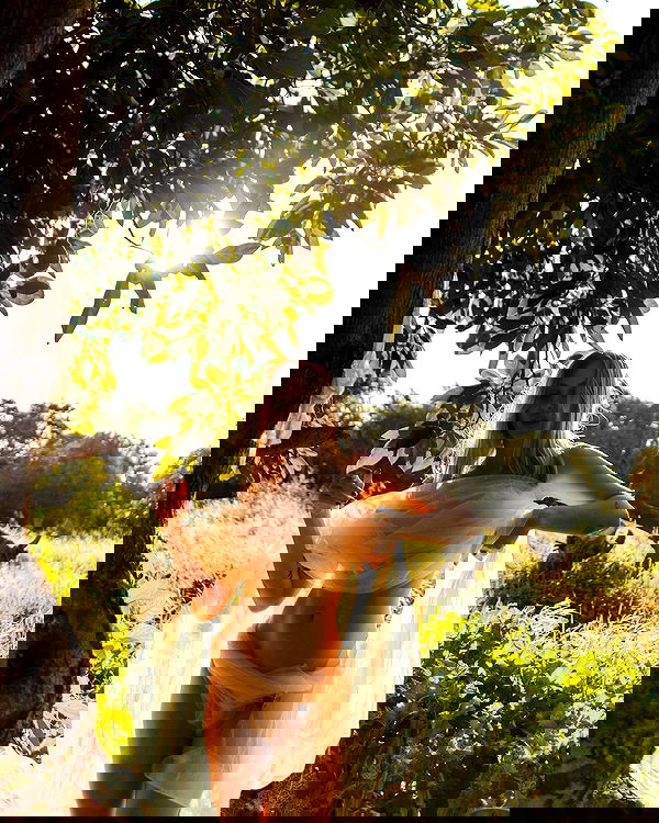 iambohema.v2 iambohema.v2 archive image