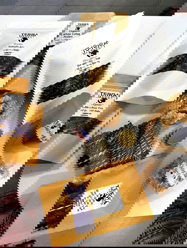 iambohema.v2 iambohema.v2 archive image