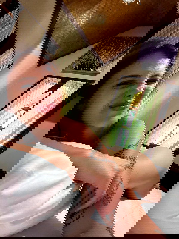 iambohema.v2 iambohema.v2 archive image