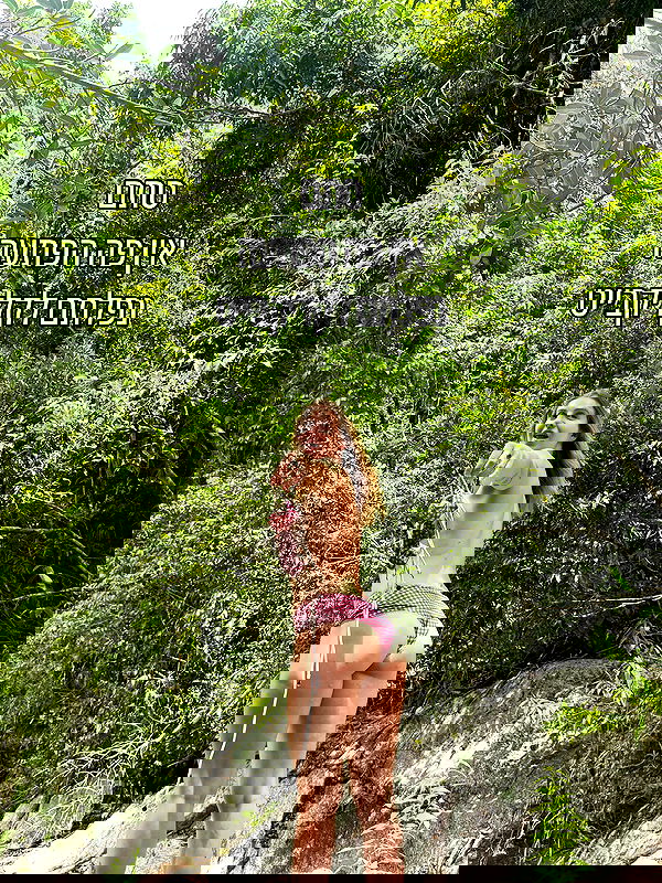 iambohema.v2 iambohema.v2 archive image