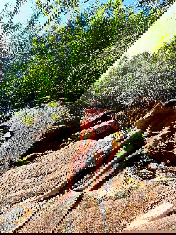 iambohema.v2 iambohema.v2 archive image