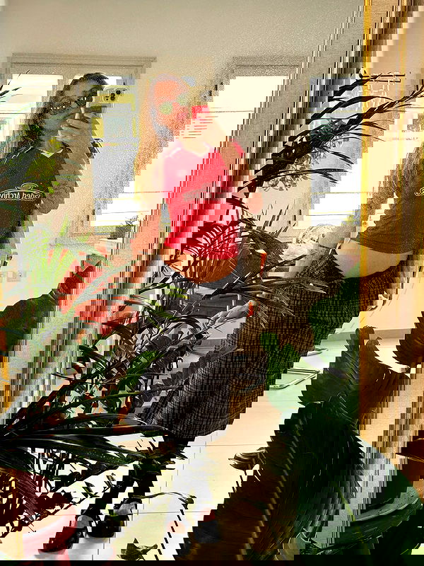 iambohema.v2 iambohema.v2 archive image