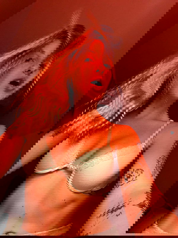 iambohema.v2 iambohema.v2 archive image