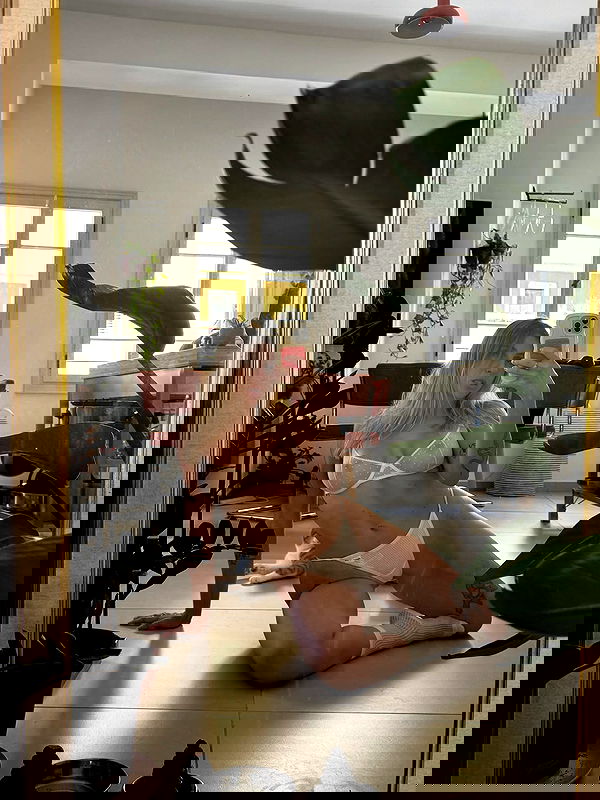 iambohema.v2 iambohema.v2 archive image