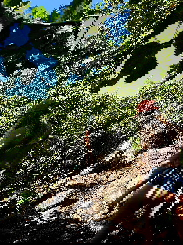 iambohema.v2 iambohema.v2 archive image